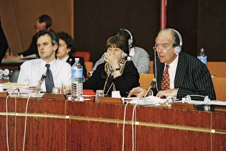 Foto 3: Meeting at the European Parliament in Strasbourg