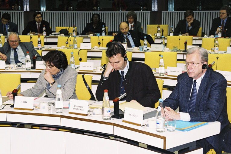 Fotografia 1: Committee on External Economic Relations Meeting