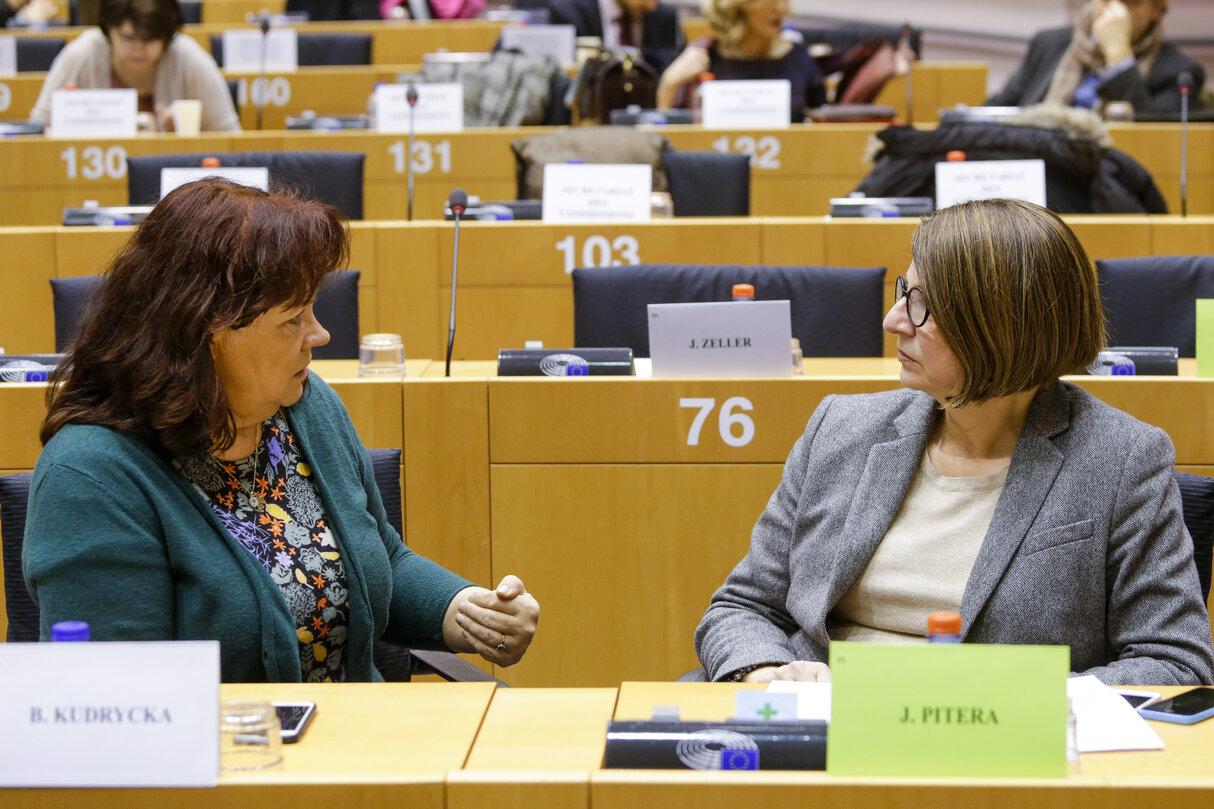 Joint LIBE CONT meeting - Julia PITERA and Barbara KUDRYCKA voting