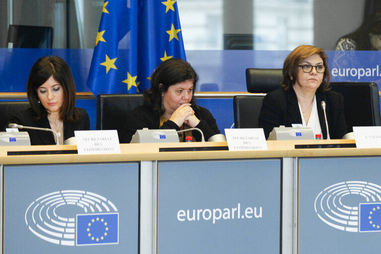 Foto 4: ENVI committee meting