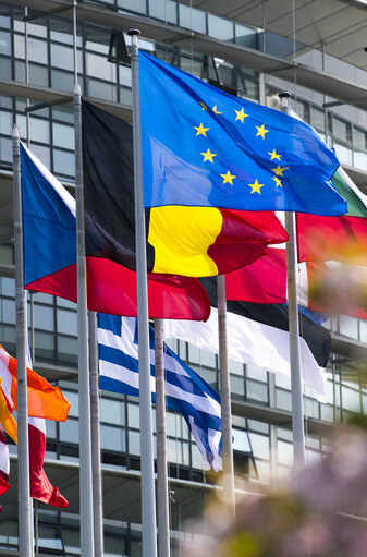 Fotografija 28: Flags in the European Parliament in Strasbourg
