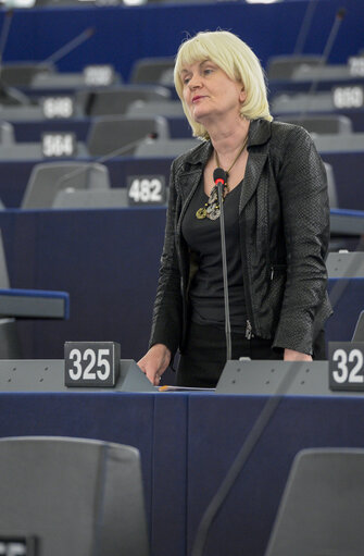 Fotografi 7: Plenary session week 7 2017 in Strasbourg  - explanations of votes