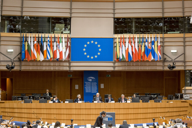 European Parliamentary Week. Plenary session.