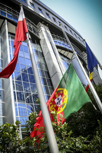 Foto 1: Portuguese and EU flags at half-mast at the European Parliament following forest fires and death in Portugal