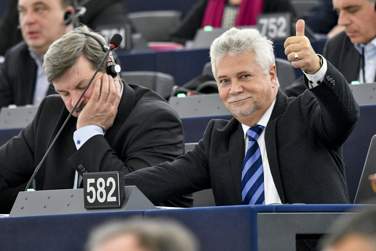 Dieter KOCH in plenary session week 11 2017 in Strasbourg