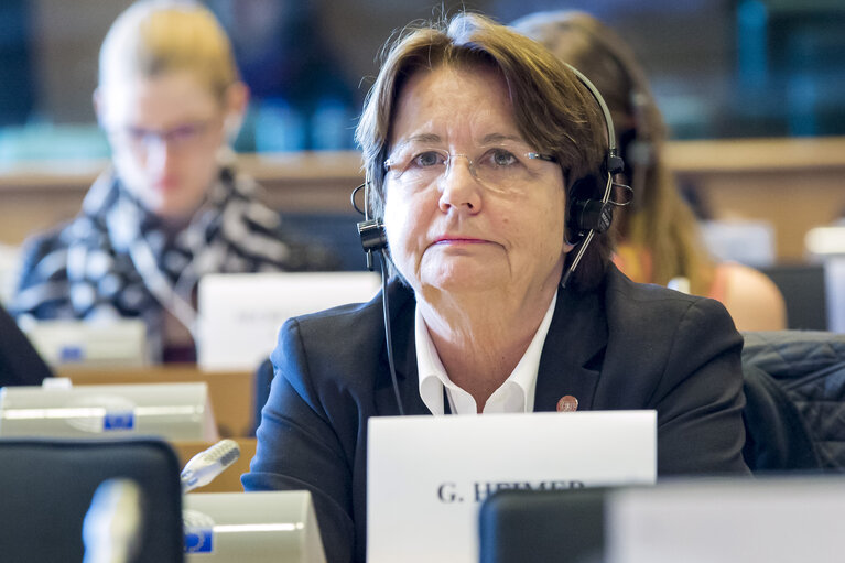 Joint hearing on the Istanbul Convention.The EU accession to the Council of Europe Convention on preventing and combating violence against women and domestic violence.