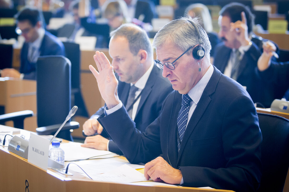 Marc JOULAUD MEP voting in Committee on Development