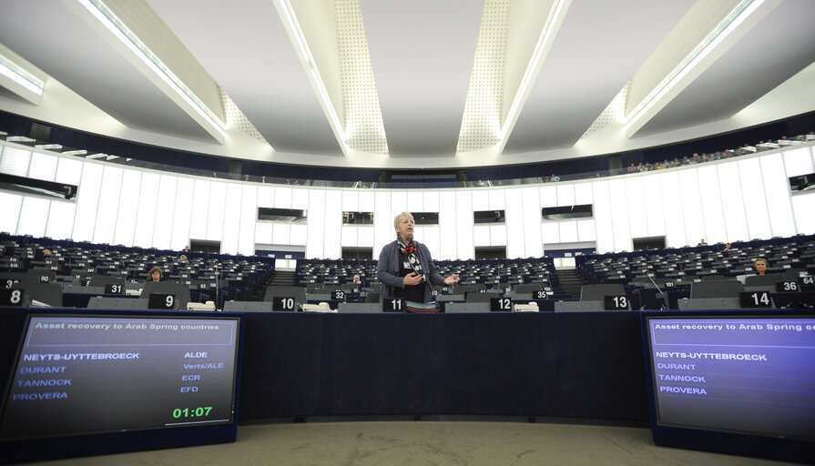 Fotografija 32: Plenary Session week - Asset recovery to Arab Spring countries