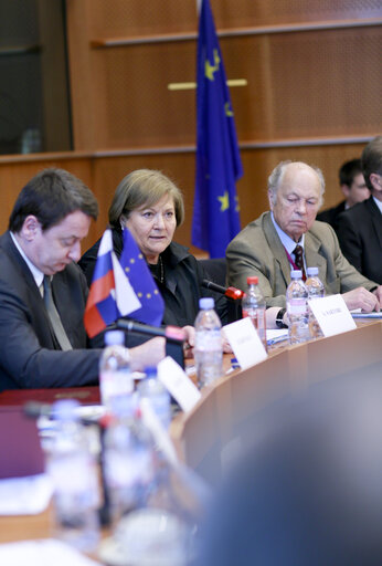 Photo 7 : Second meeting of Inter Parliamentary working group EU Russia on energy issues