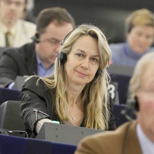 Fotografie 3: Plenary session week 6 2013 in Strasbourg