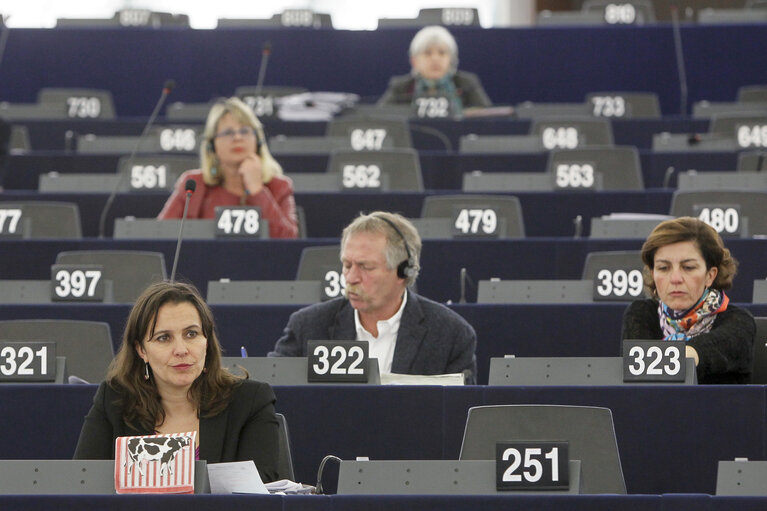 Foto 2: Ana MIRANDA takes part in the CAP reform debate in Strasbourg