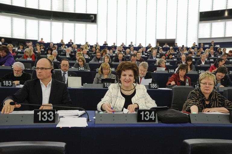 Foto 1: Antigoni PAPADOPOULOU in Plenary session week 11 2013