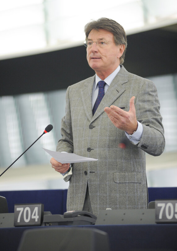 Plenary session week 3 2013 in Strasbourg - programme of activities of the Irish Presidency