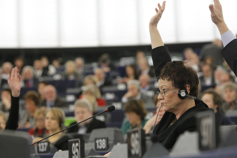 Photo 2: Sarah LUDFORD during plenary Session Week 3 - 2013 in Strasbourg