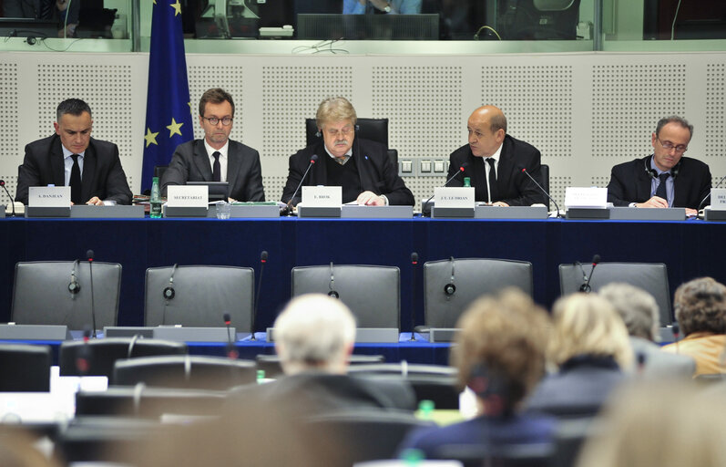 Photo 1 : SEDE committee meeting  Exchange of views with   Jean-Yves LE DRIAN, minister of defence of France