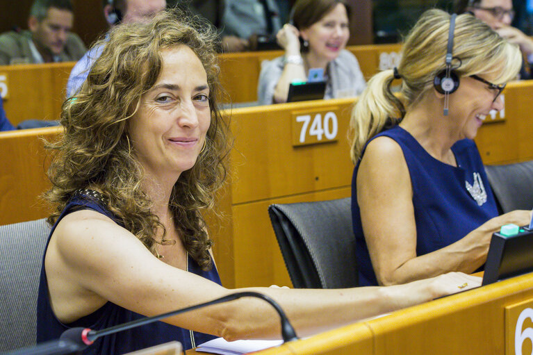 Φωτογραφία 1: Carolina PUNSET voting during the Plenary Session