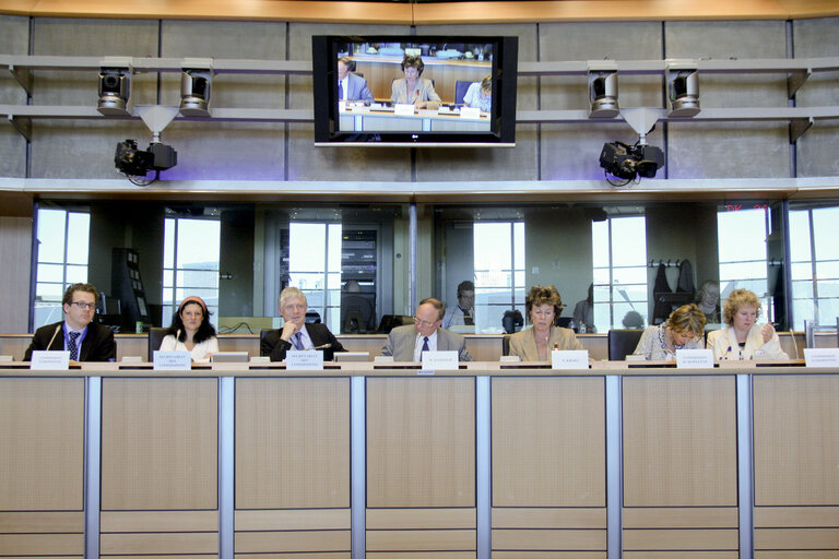 Foto 2: Exchange de Views on the Legislative and Program Work 2010-2011