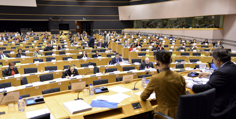 Foto 12: LIBE Committee hearing on foreign fighters with the President of Eurojust