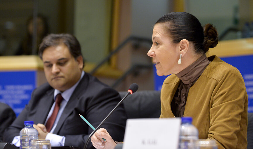 Foto 21: LIBE Committee hearing on foreign fighters with the President of Eurojust