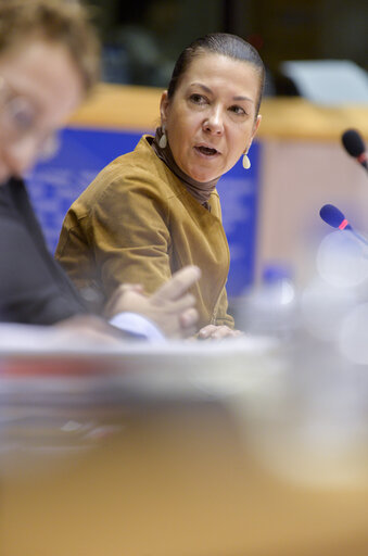 Foto 20: LIBE Committee hearing on foreign fighters with the President of Eurojust