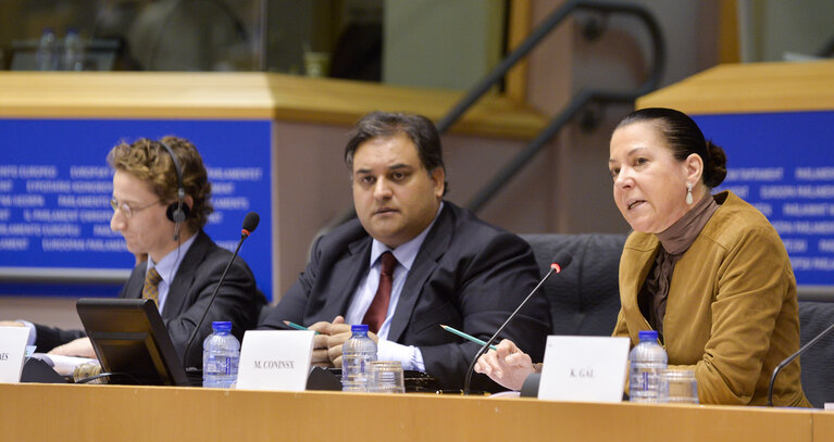 Foto 17: LIBE Committee hearing on foreign fighters with the President of Eurojust