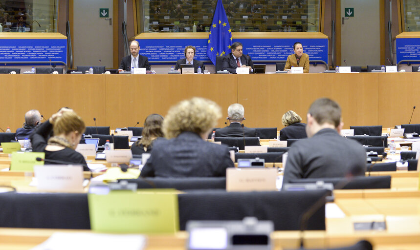 Foto 19: LIBE Committee hearing on foreign fighters with the President of Eurojust