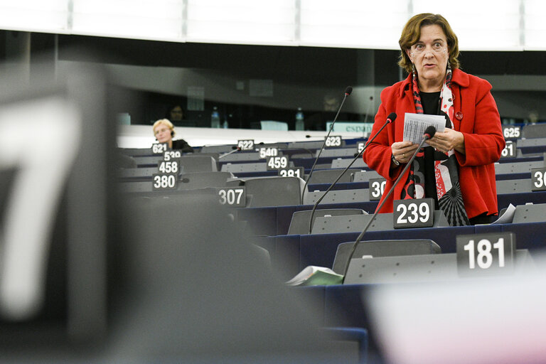 Photo 14: EP plenary session - Conflict of interest and protection of the EU budget in the Czech Republic