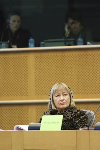 Photo 12: JURI Committee public hearing : Protecting trade secrets