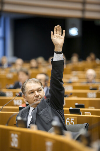 Billede 28: Plenary session week 05 2015 in Brussels - Council and Commission statements