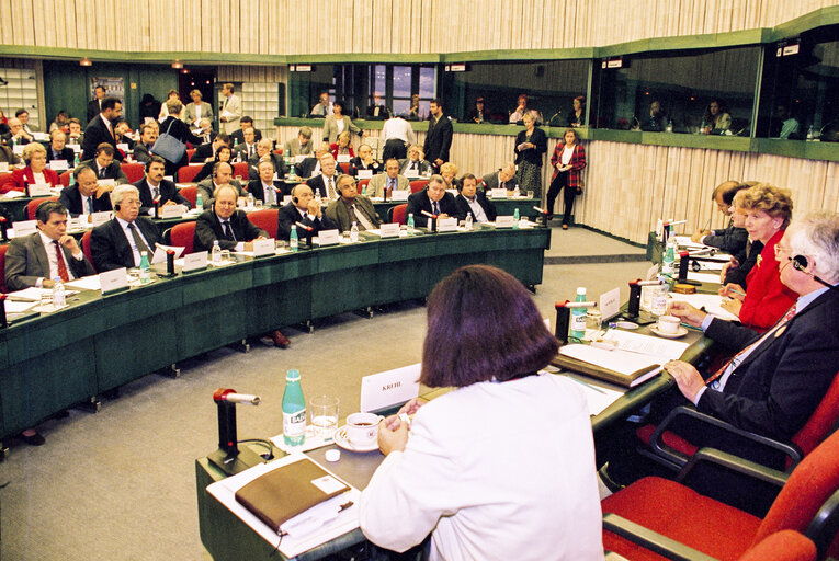 Foto 22: Opening session of the EU-Russia Parliamentary Cooperation Committee meeting