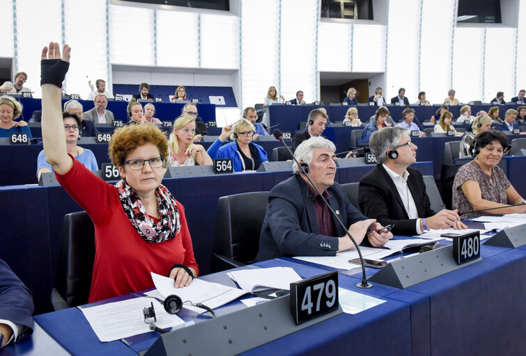 Fotó 2: Maria HEUBUCH in the EP in Strasbourg