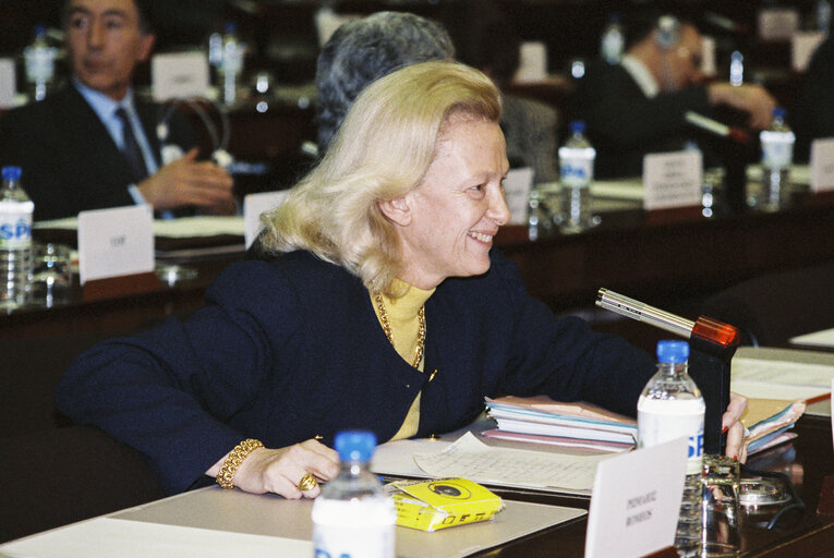 Foto 6: Meeting at the EP in Strasbourg - February 1991