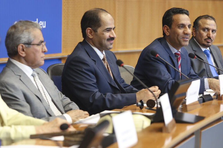 Foto 14: Meeting of the EP Delegation for Relations with the Arab Peninsula -Exchange of views with the Spokesperson for coalition forces in Yemen, on the current situation in Yemen