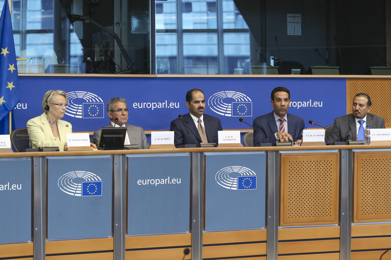 Foto 12: Meeting of the EP Delegation for Relations with the Arab Peninsula -Exchange of views with the Spokesperson for coalition forces in Yemen, on the current situation in Yemen