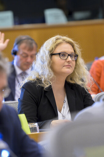 Foto 7: INTA Committee meeting