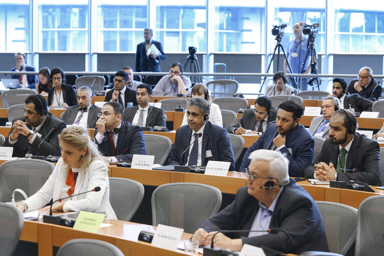 Foto 2: Meeting of the EP Delegation for Relations with the Arab Peninsula -Exchange of views with the Spokesperson for coalition forces in Yemen, on the current situation in Yemen