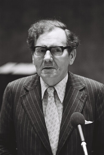 Commission Jenkins in plenary session in Luxembourg on January 1977