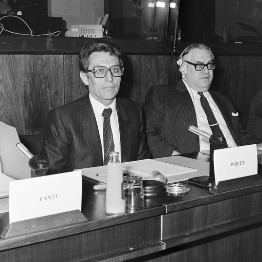 Hearings at the EP in Brussels