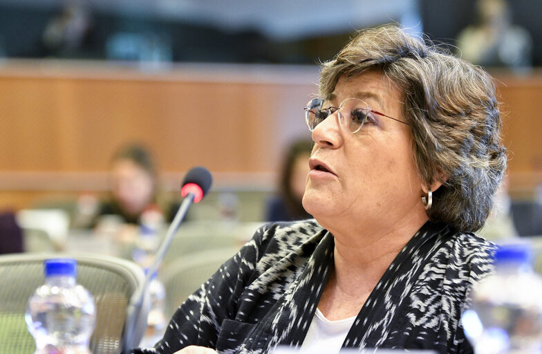 Foto 15: TERR public hearing - ' How to improve Counter Terrorist Financing within the EU ? '