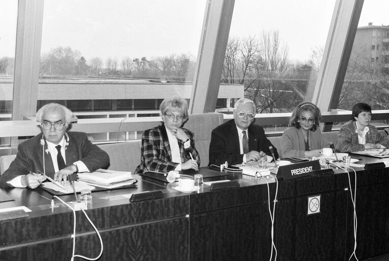 Meeting at the EP in Strasbourg