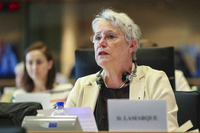 BUDG, CONT and LIBE joint hearing ' Assessing the flow of EU migration funding within the Union '