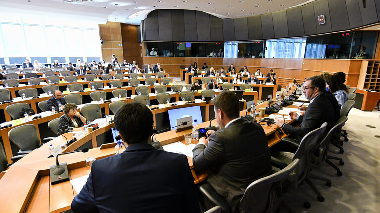 Foto 7: TERR public hearing - ' How to improve Counter Terrorist Financing within the EU ? '