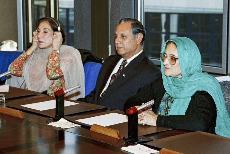 EP President meets with a delegation from Pakistan.