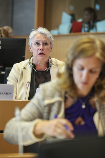 BUDG, CONT and LIBE joint hearing ' Assessing the flow of EU migration funding within the Union '