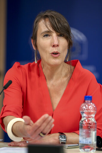 Foto 4: EP Press conference Adoption of the report on the Euro-Road Charging Directive