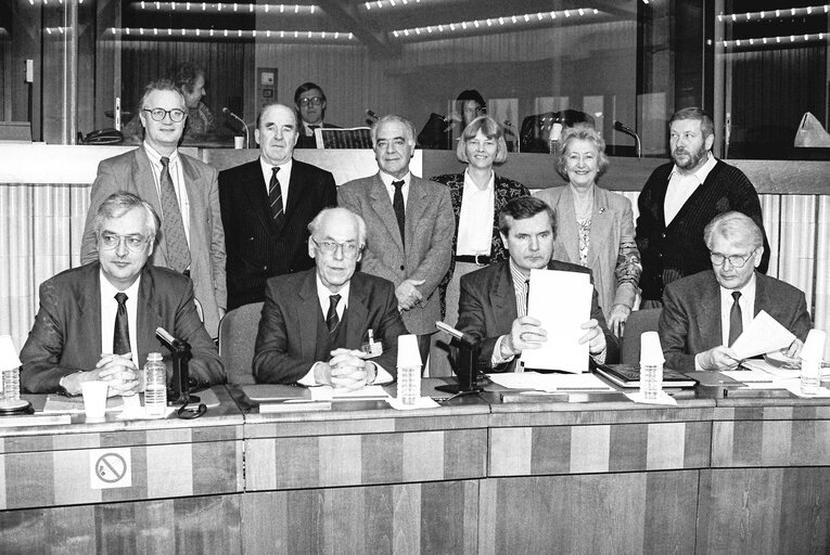 Fotografia 1: Greens MEPs meet with Baltic Ministers