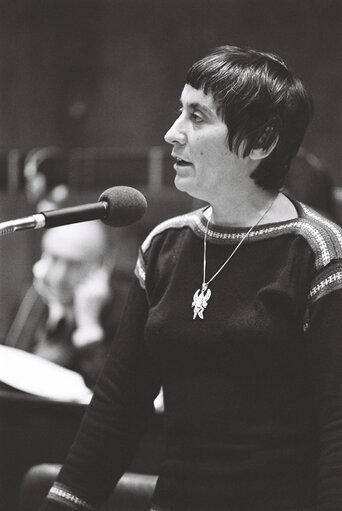 Commission Jenkins in plenary session in Luxembourg on January 1977