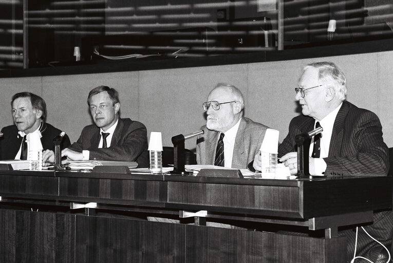 Fotografija 14: Meeting at the EP in Strasbourg.