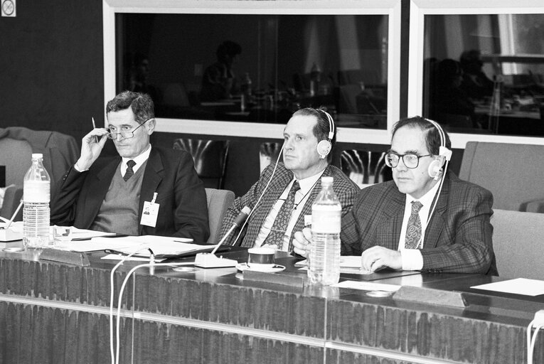 Fotografi 4: Meeting at the European Parliament in Strasbourg