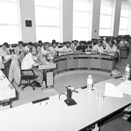 Meeting at the European Parliament in Brussels